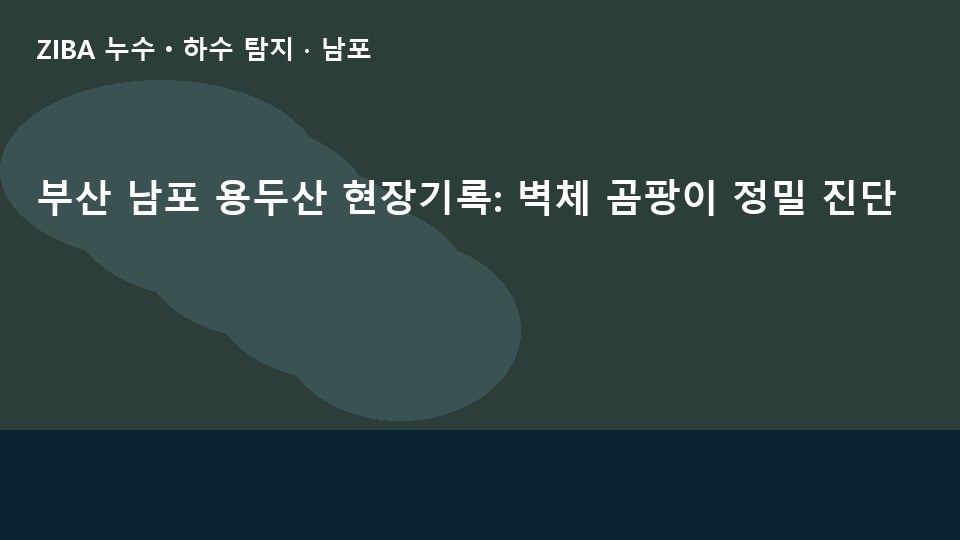 부산 남포 용두산 현장기록: 벽체 곰팡이 정밀 진단